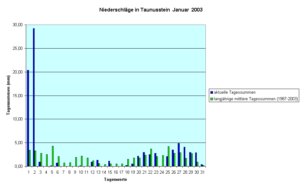 Niederschlge in Taunusstein  Januar  2003